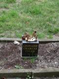 image of grave number 199562